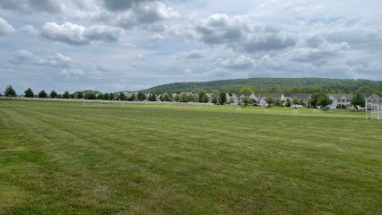 Soccer Field image 1