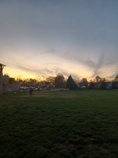 Soccer Field image 1