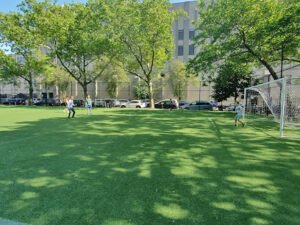 Soccer Field image 1