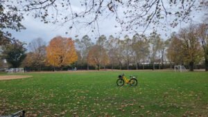 Soccer Field image 1