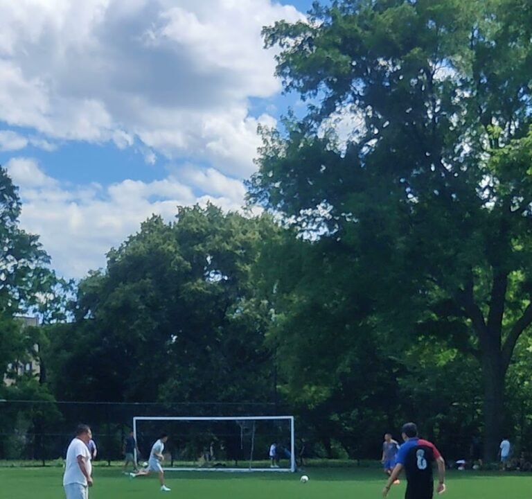 Soccer Field image 4