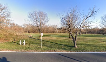 Soccer Field image 1
