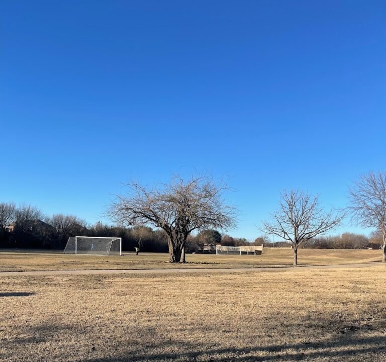 Soccer Field image 2