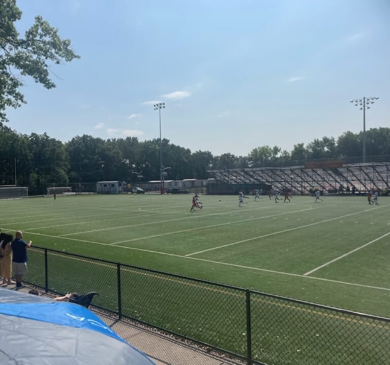 Soccer Field image 2