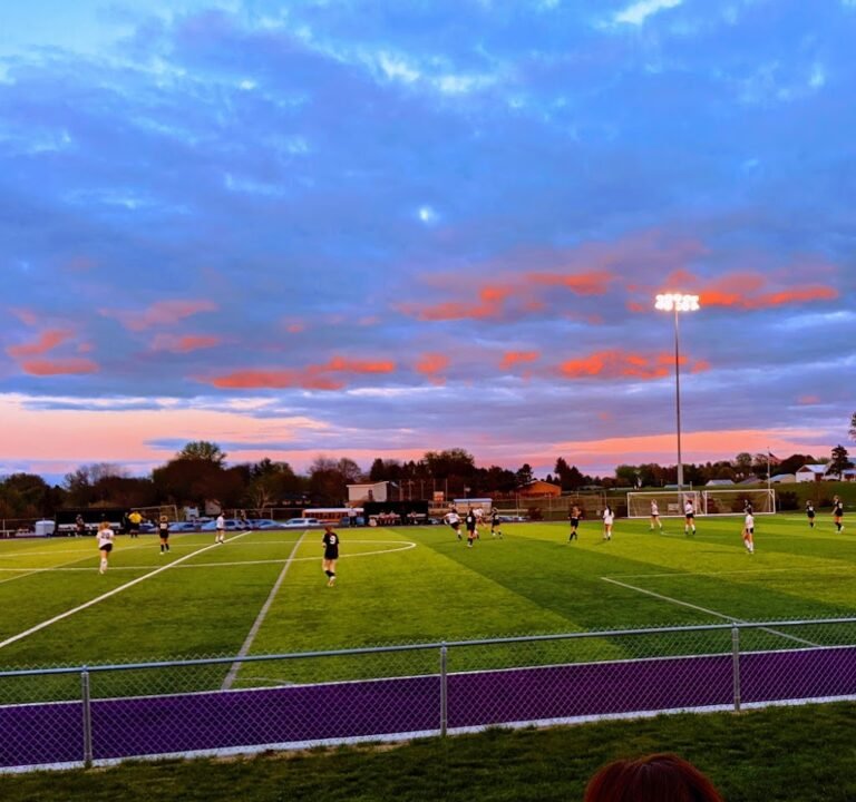 Soccer Field image 2