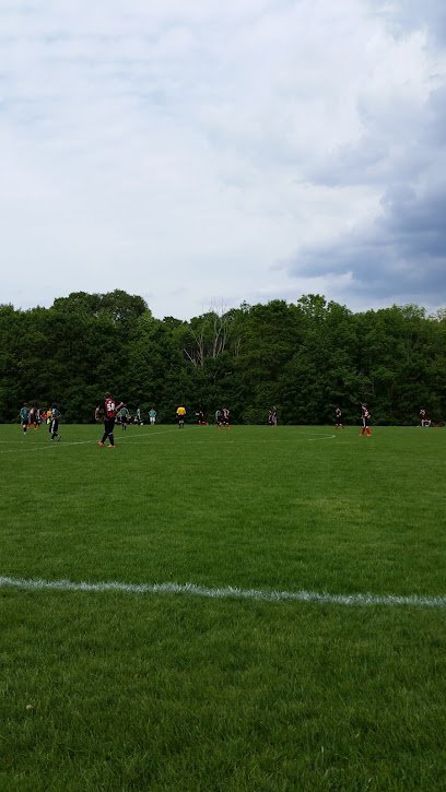 Soccer Field image 1