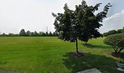 Soccer Field image 1