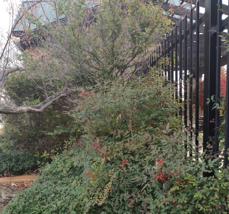 Soccer Field image 2