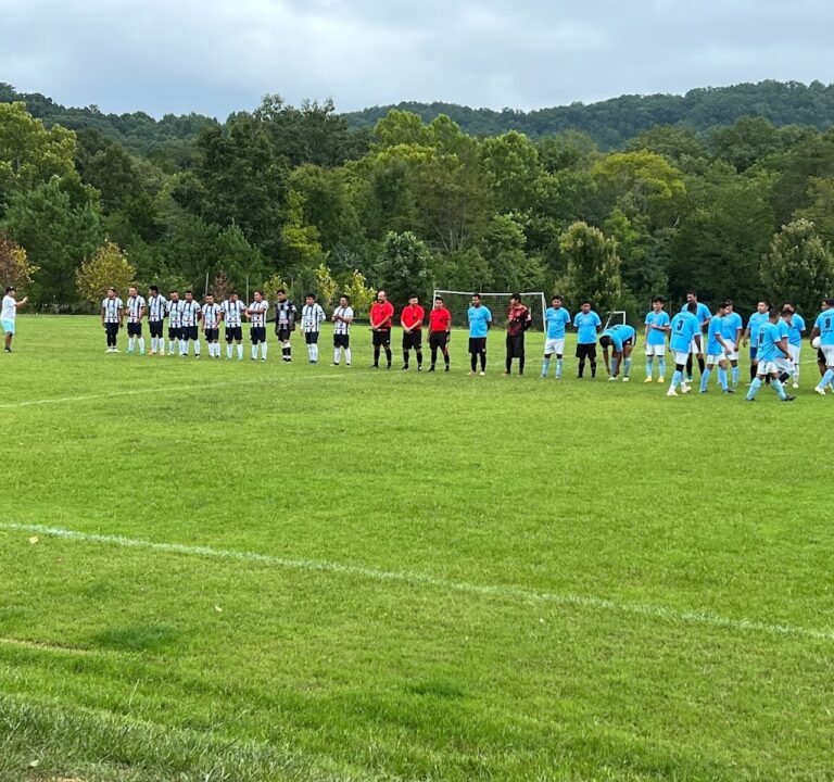 Soccer Field image 3