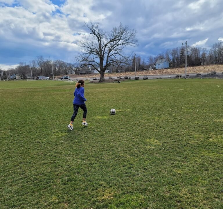 Soccer Field image 2