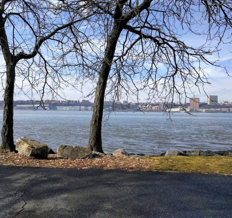 Soccer Field image 3