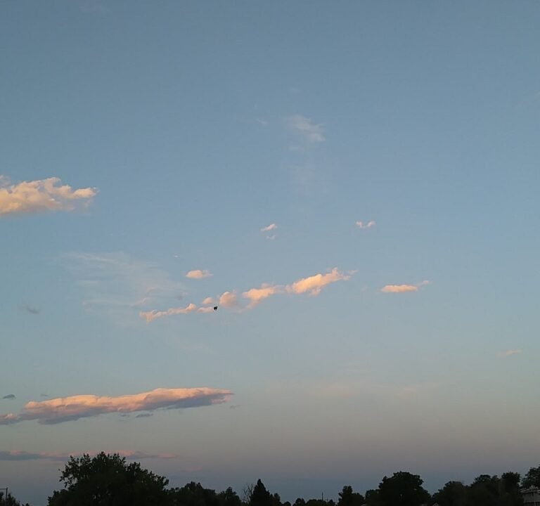 Soccer Field image 2