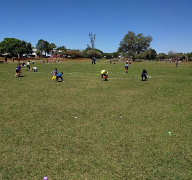 Soccer Field image 2