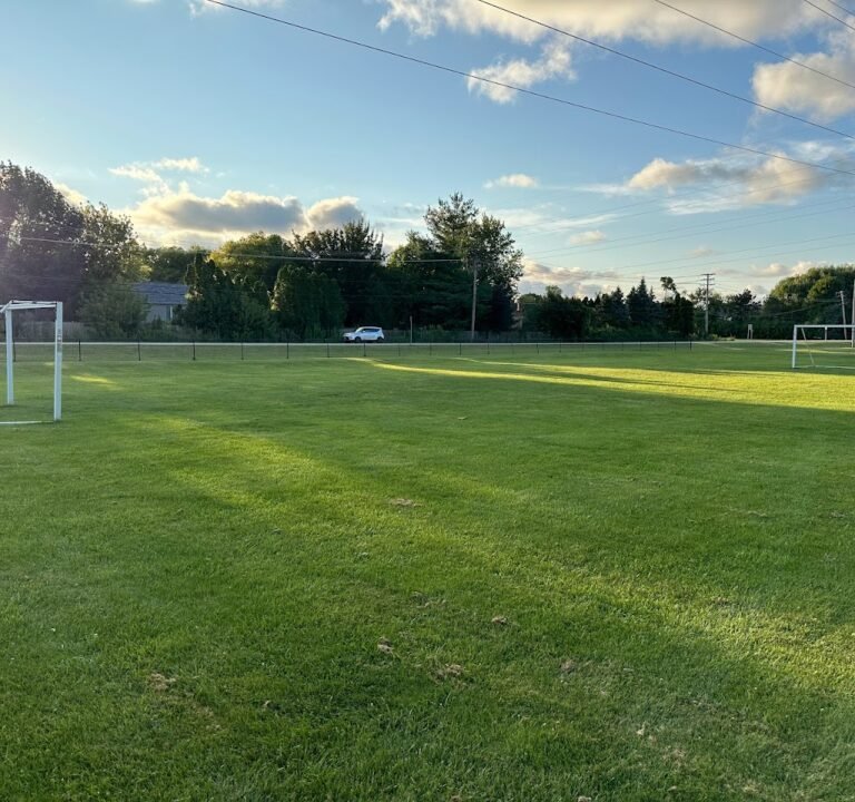 Soccer Field image 3