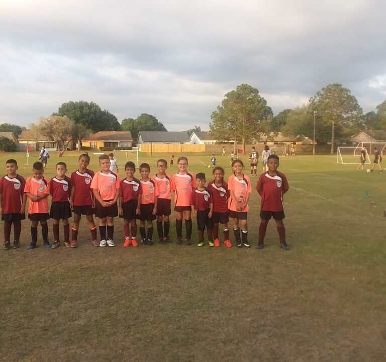 Soccer Field image 3