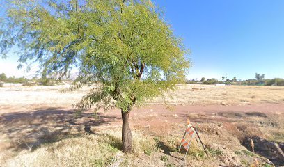 Soccer Field image 1