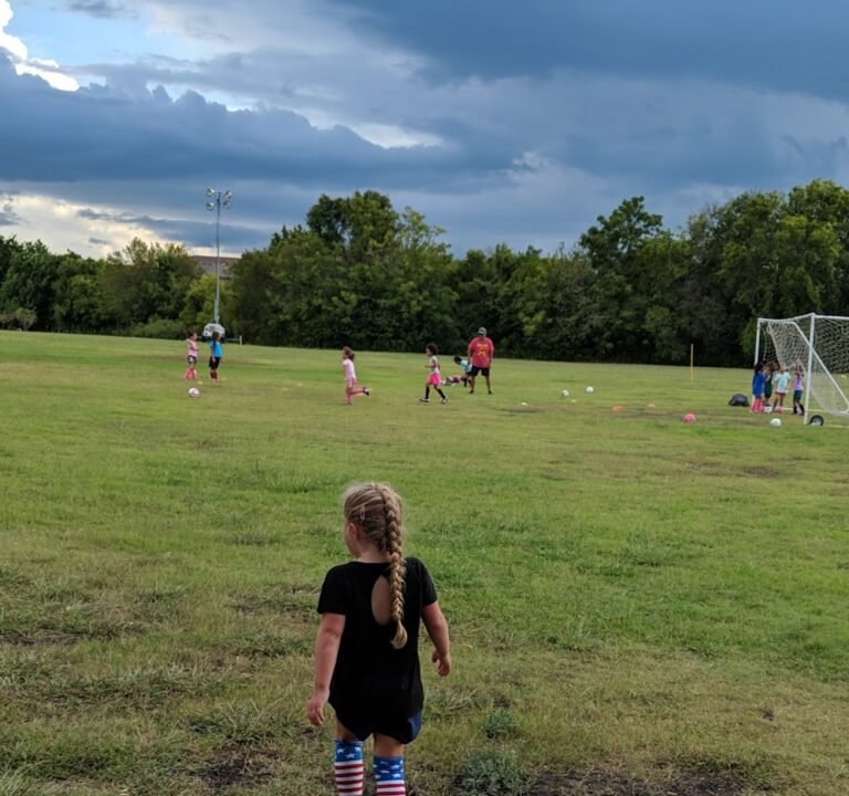 Soccer Field image 2