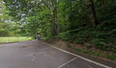 Soccer Field image 1