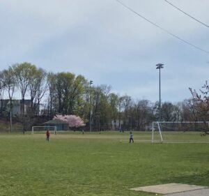 Soccer Field image 3