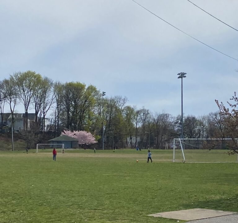 Soccer Field image 3