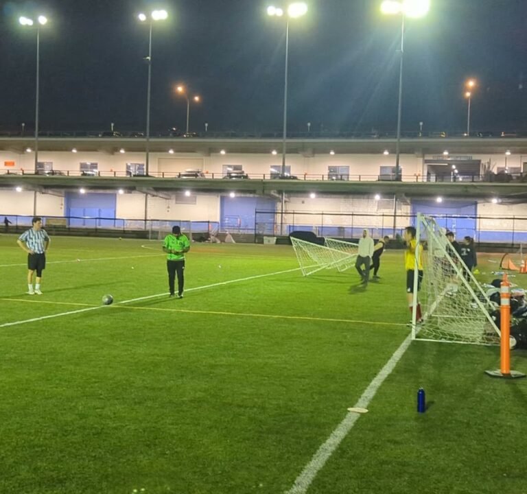 Soccer Field image 4