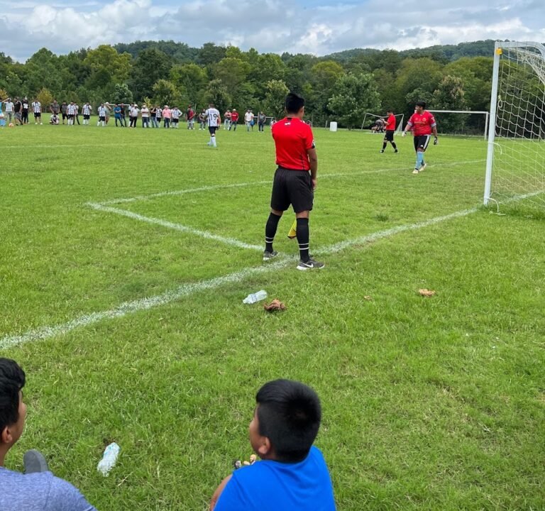 Soccer Field image 2