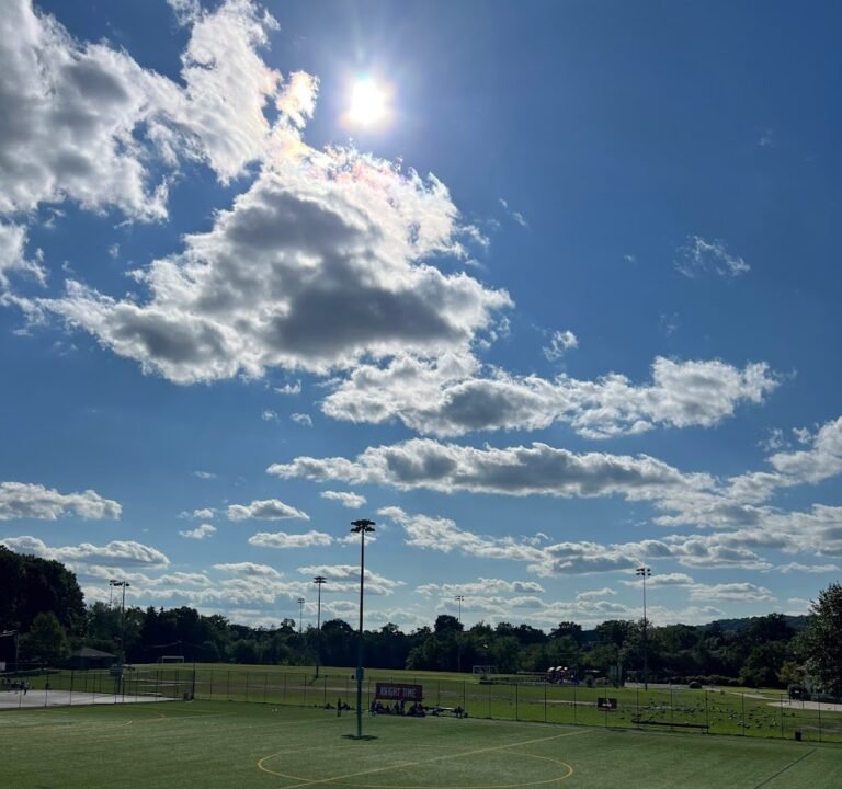 Soccer Field image 2