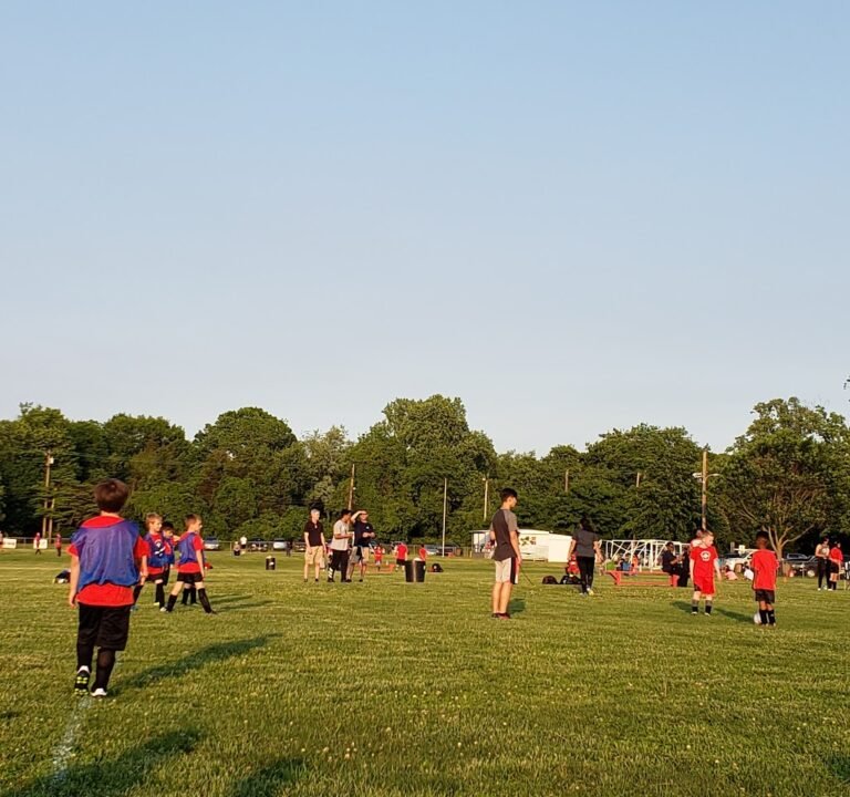 Soccer Field image 3