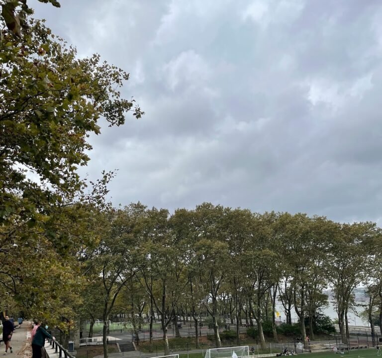 Soccer Field image 2