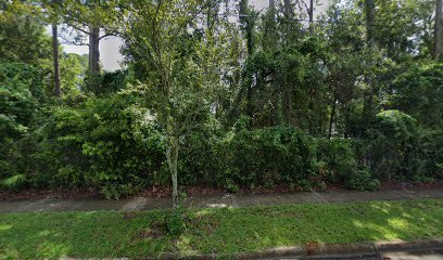 Soccer Field image 1