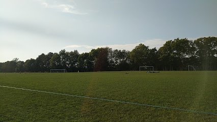 Soccer Field image 1
