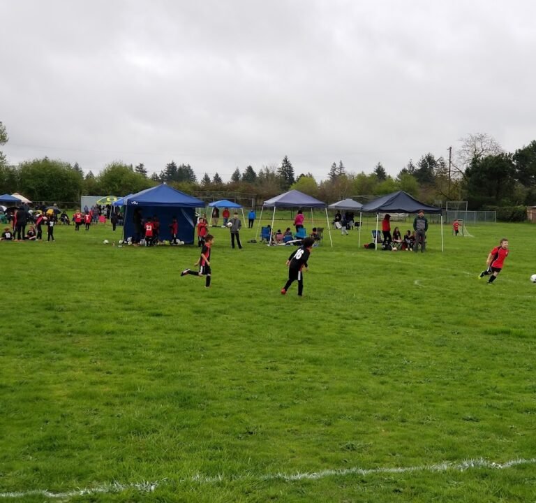 Soccer Field image 2
