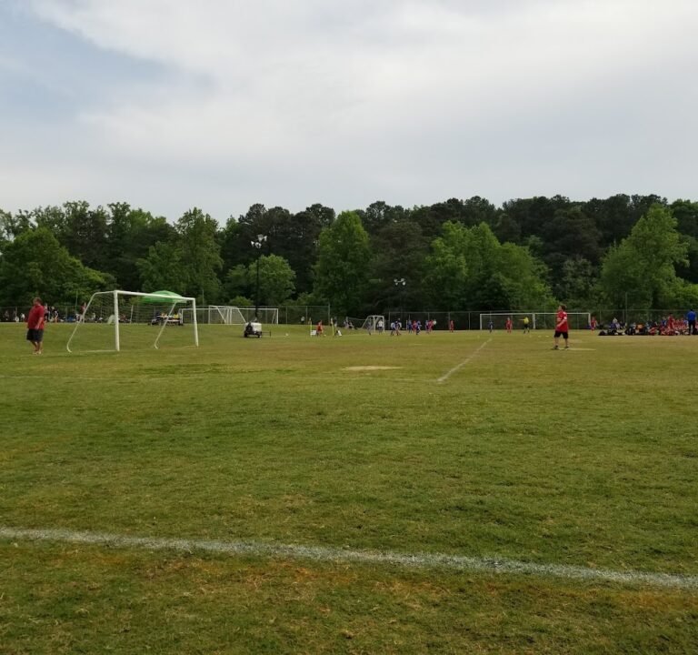 Soccer Field image 3