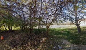 Soccer Field image 1