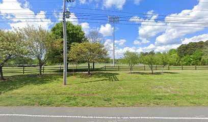 Soccer Field image 1