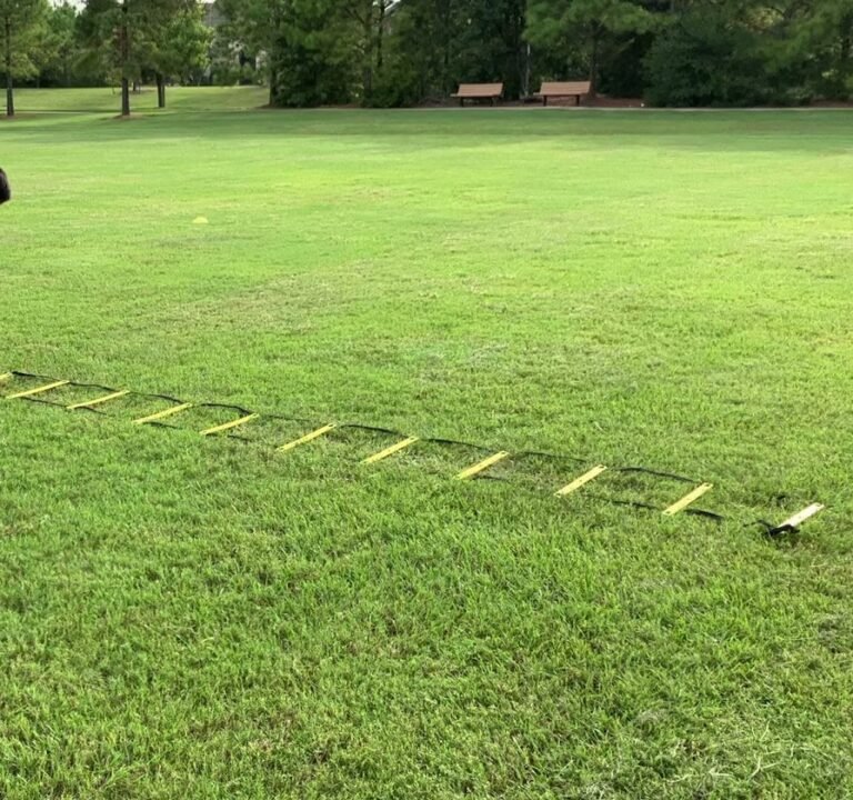 Soccer Field image 3