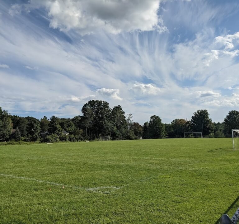 Soccer Field image 3