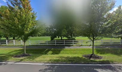 Soccer Field image 1