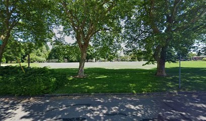 Soccer Field image 1