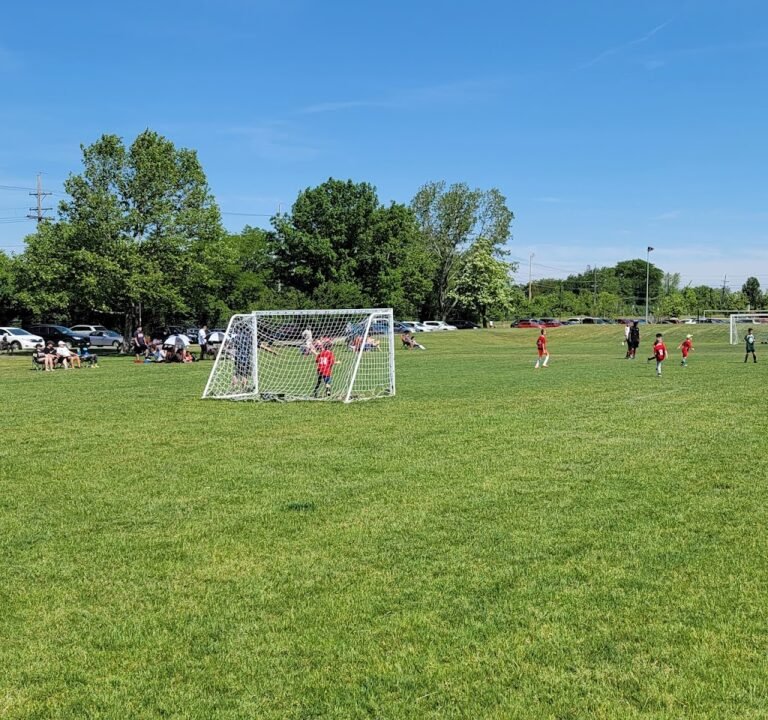 Soccer Field image 2