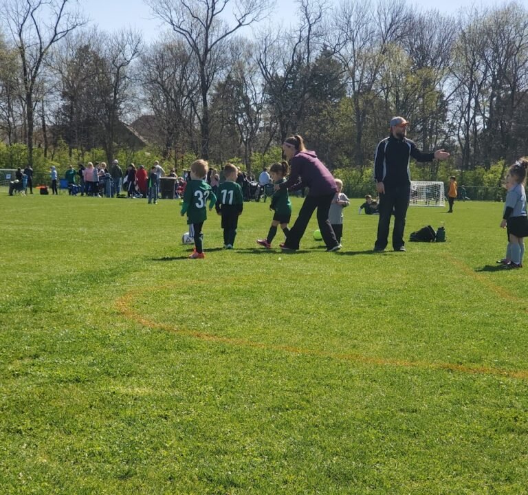 Soccer Field image 2