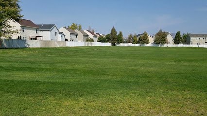 Soccer Field image 1