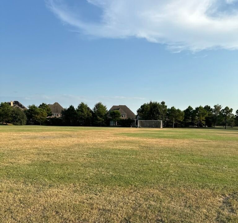 Soccer Field image 2