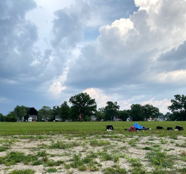 Soccer Field image 2