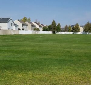 Soccer Field image 2