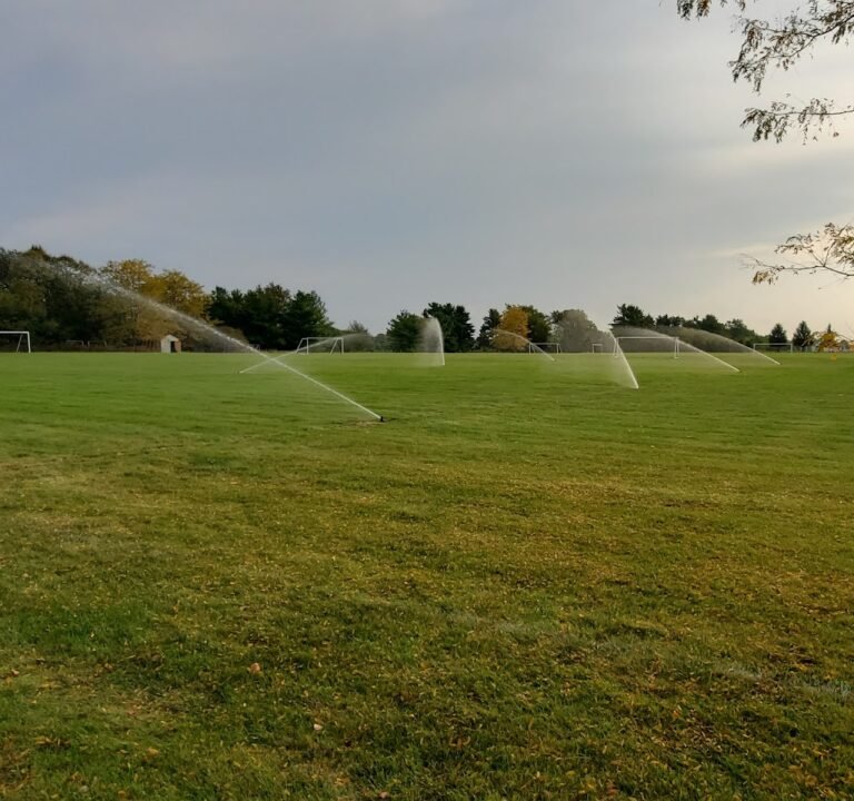 Soccer Field image 2