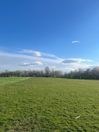 Soccer Field image 1