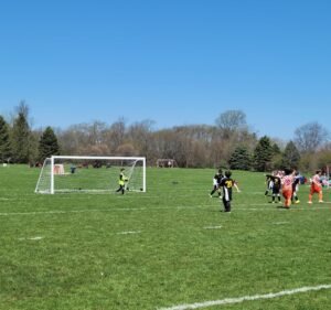 Soccer Field image 3