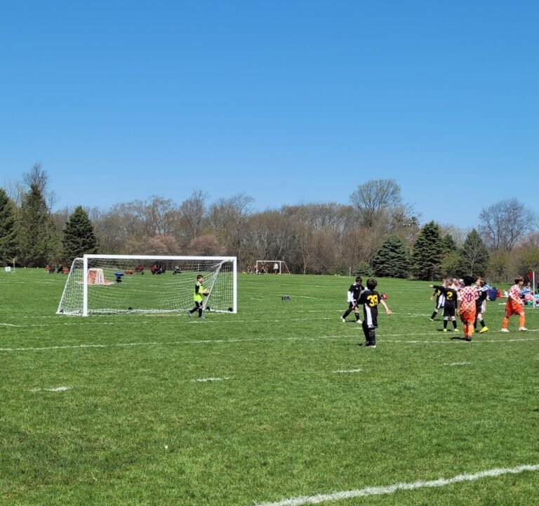 Soccer Field image 3