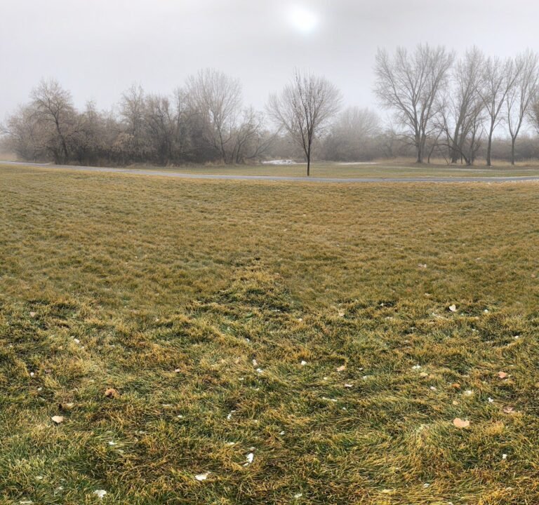 Soccer Field image 3